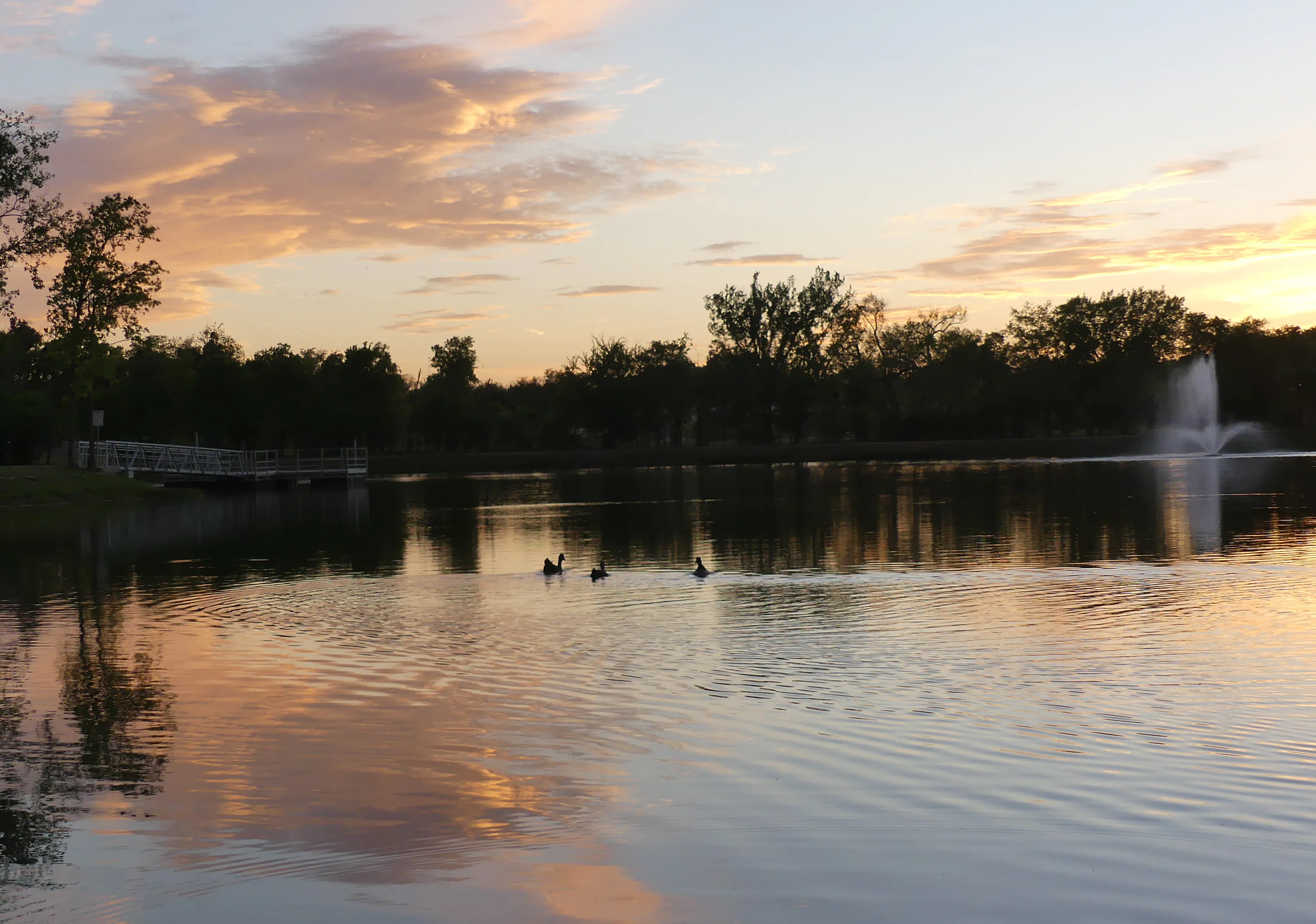 Putting green and synthetic turf installation in Burleson, TX