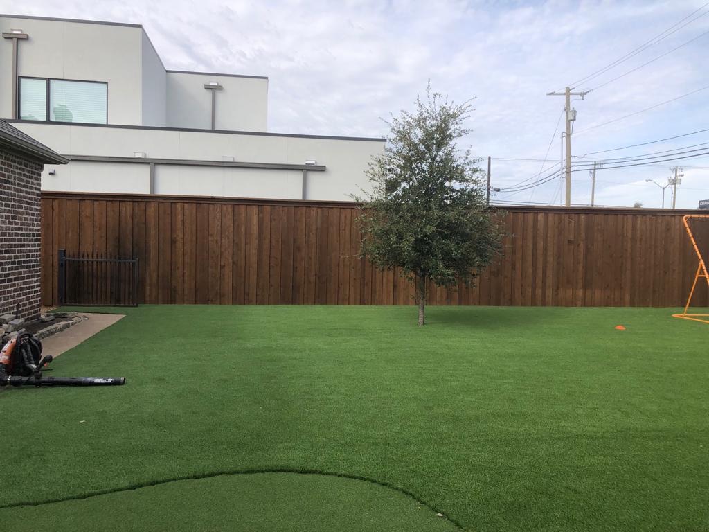 Low Maintenance Landscape Turf