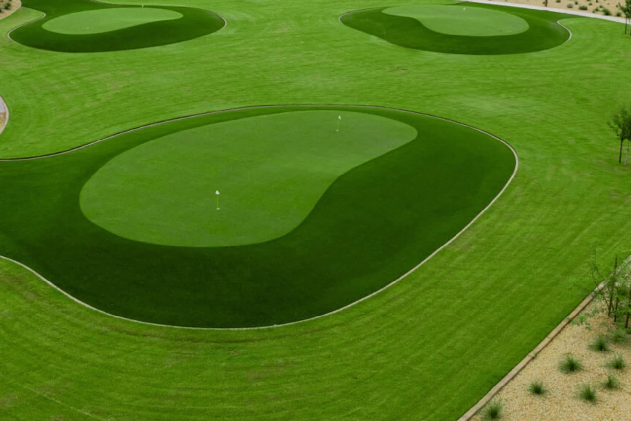 DW Target Green receiving approach shot in Fort Worth backyard