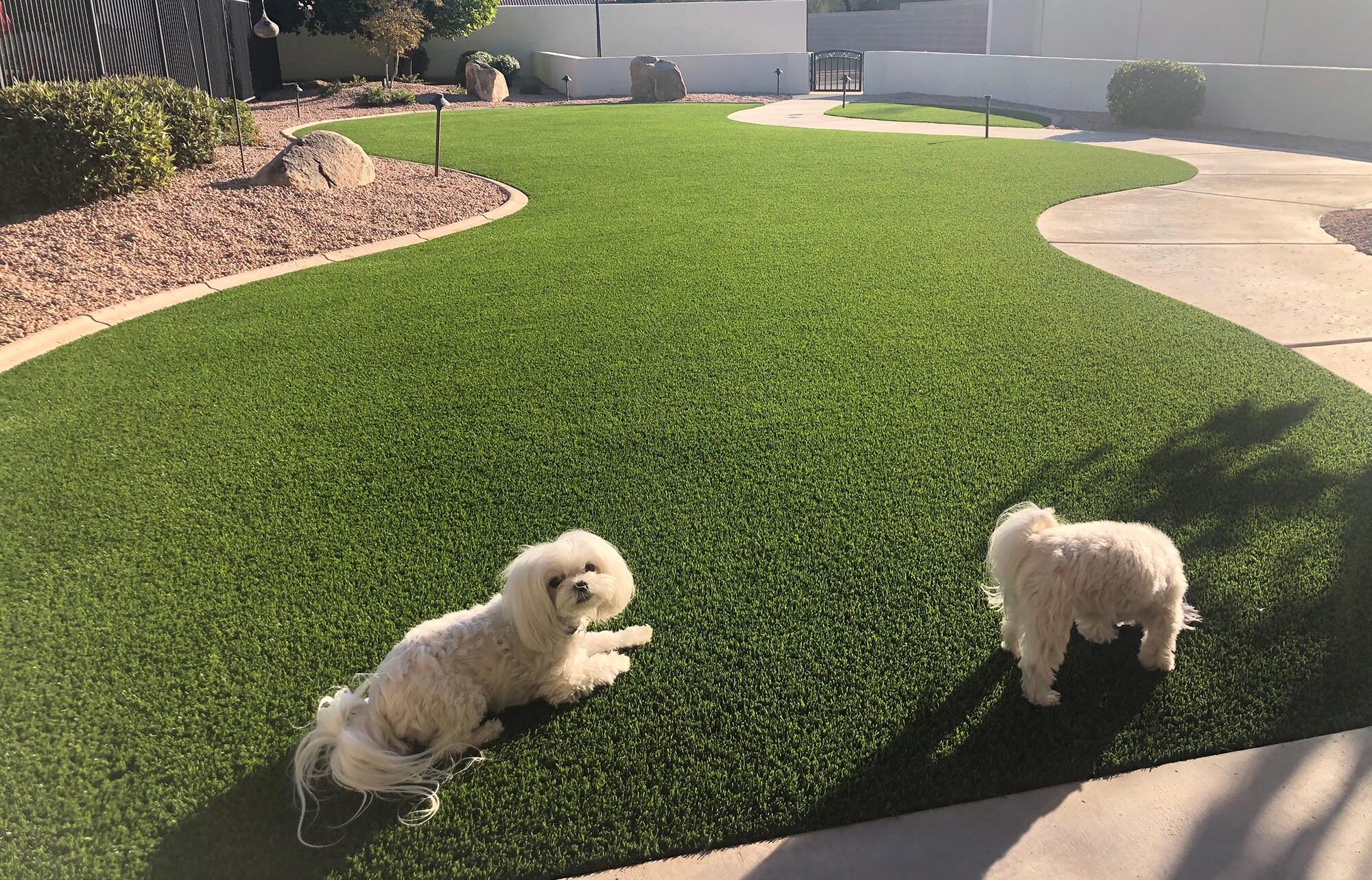 Pet turf installation in Fort Worth, TX