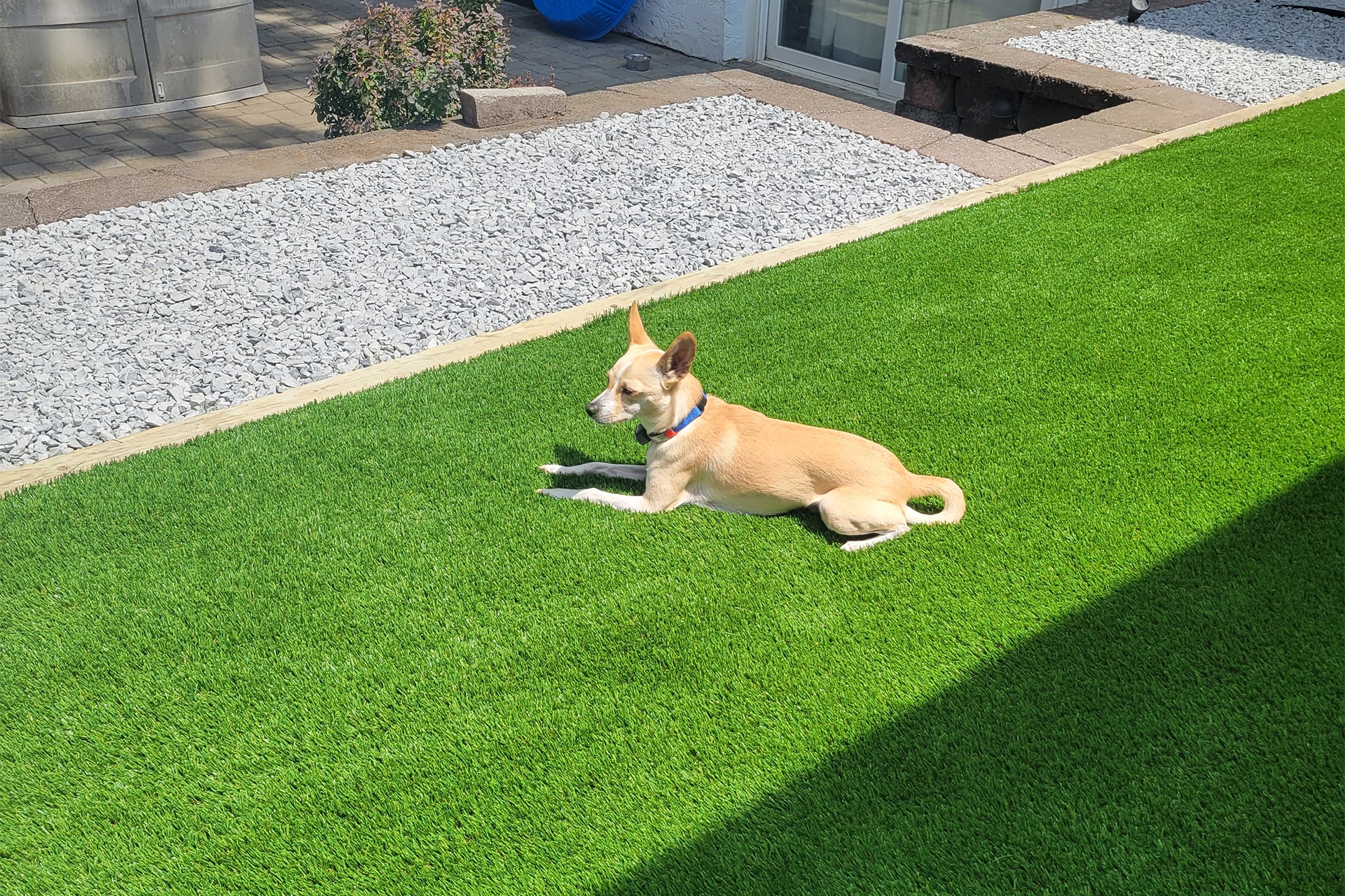 Custom dog run with artificial turf in a Fort Worth backyard